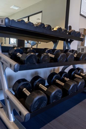 Fitness wellness center with free weights at Level 25 at The Curve by Picerne, Nevada